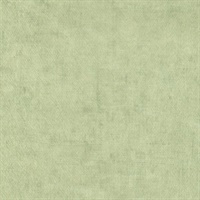 Modern Industry Aloe