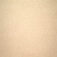 Modern Industry Bubbly