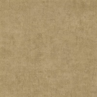 Modern Industry Ginger