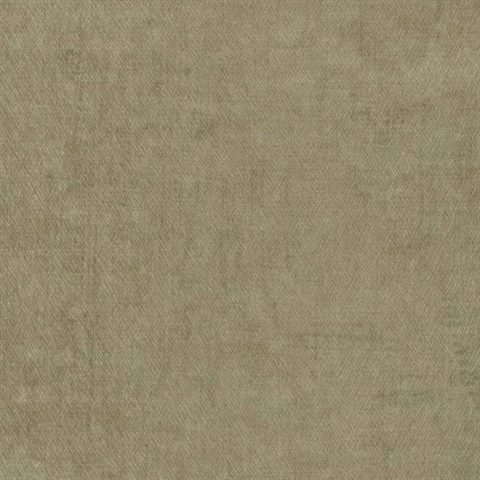 Modern Industry Pecan