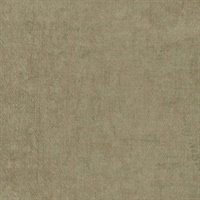 Modern Industry Pecan