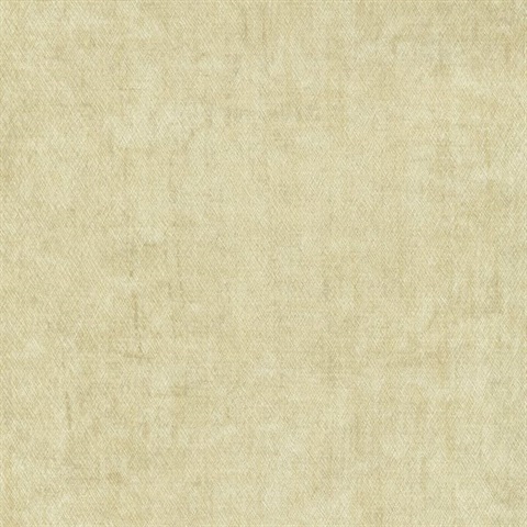 Modern Industry Raw Silk