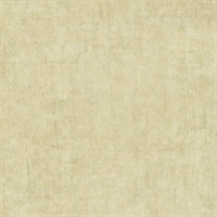 Modern Industry Raw Silk