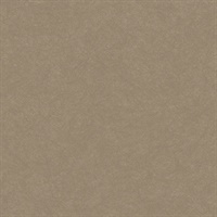 Modern Metalline Bronze