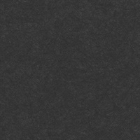 Modern Metalline Coal