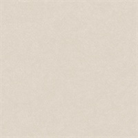 Modern Metalline Platinum