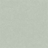 Modern Metalline Soothing Sage