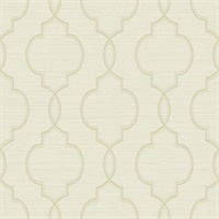 Moroccan Sisal 54 Chayote Root