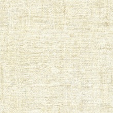 Muga Silk Parchment