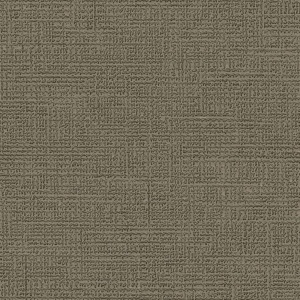 Myralyn Nightspindle