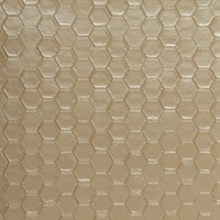 Napolean Golden Taupe