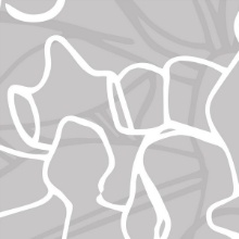 National Window Film Linear Garden