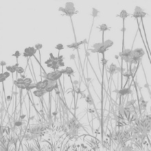 National Window Film Meadow