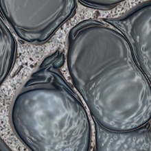 National Window Film Raindrops