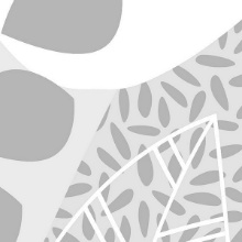 National Window Film Vivienne Standard Repeat Window Film