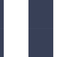 Navy Blue & White Wide Stripe