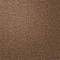 Nest Roost Geometric Commercial Vinyl