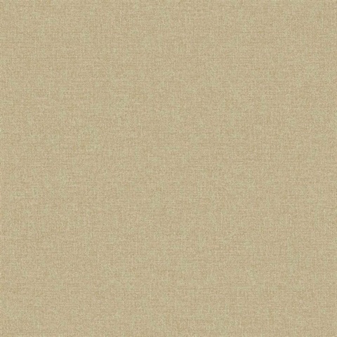 Normandy 54 Sunkissed