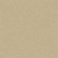 Normandy 54 Sunkissed