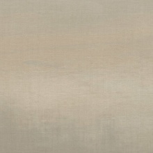 Northern Lights Atmospheric Beige