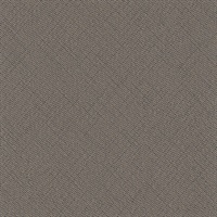 Notting Hill Pepper Tree