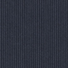 Nufelt Manchester Astronomical