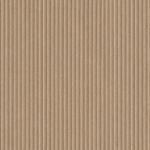 Nufelt Manchester Latte