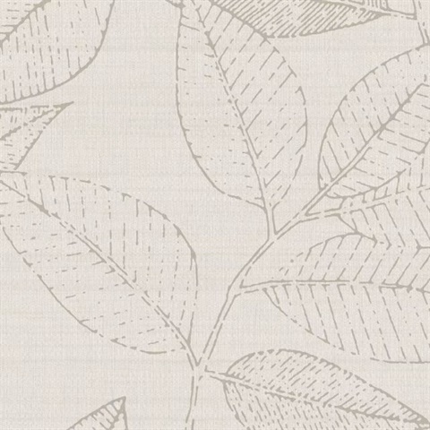 Oak Haven Ecru Organic