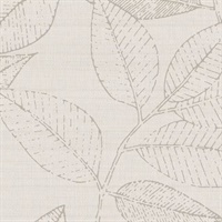 Oak Haven Ecru Organic