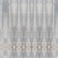 Obervation Carol Benson-Cobb Crystal Lake