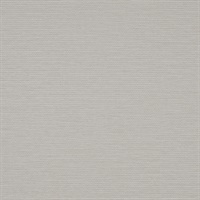 Omicron Eggshell Wall Protection