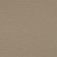 Omicron French Horn Wall Protection