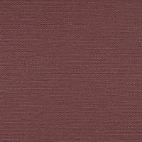 Omicron Rouge Wall Protection