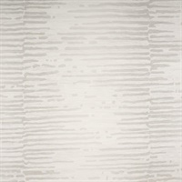 On Water Rain Puddle