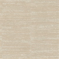 Onslow WS Beachcomber