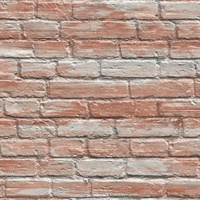 Orange Resource Vol 3 OOY36311