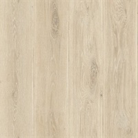 Orange Resource Vol 3 OTL36805