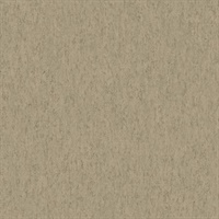 Orange Resource Vol 3 RC15014