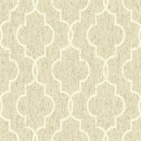 Orange Resource Vol 3 RC15105