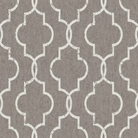 Orange Resource Vol 3 RC15137