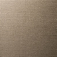 Orissa Silk Textile Wallcovering