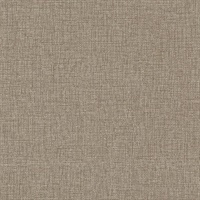 Orleans Counting Glass