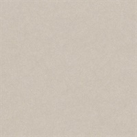 Overture Finale Birch