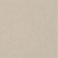 Overture Finale Pumice