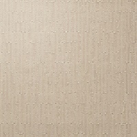 P3TEC Dimension Taj Mahal Gleam Wall Protection