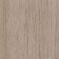 P3TEC Hardwood Conifer Wall Protection