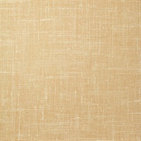 P3TEC Infinity Hello Sunshine Wall Protection