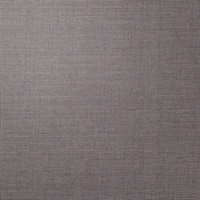 P3TEC Stellar Grey Lead Wall Protection