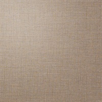 P3TEC Stellar Neutral Flake Wall Protection