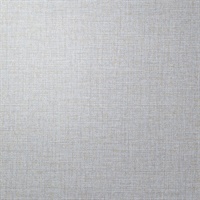 P3TEC Stellar Pale Powder Wall Protection